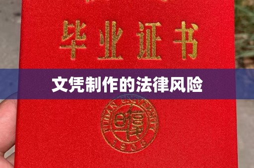 江阳文凭制作的法律风险