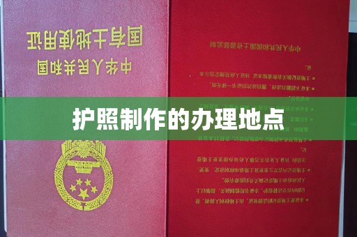 江阳护照制作的办理地点