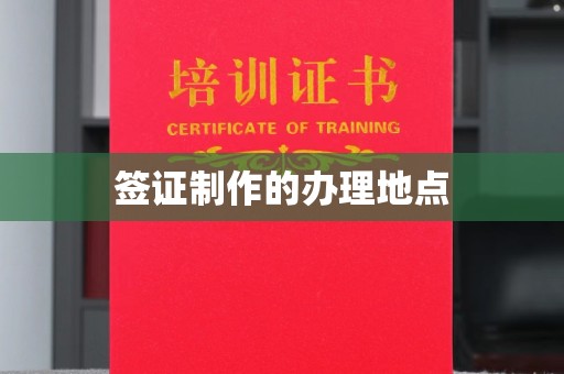 江阳签证制作的办理地点
