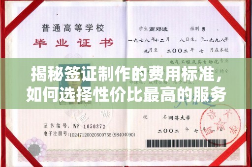 江阳揭秘签证制作的费用标准，如何选择性价比最高的服务？