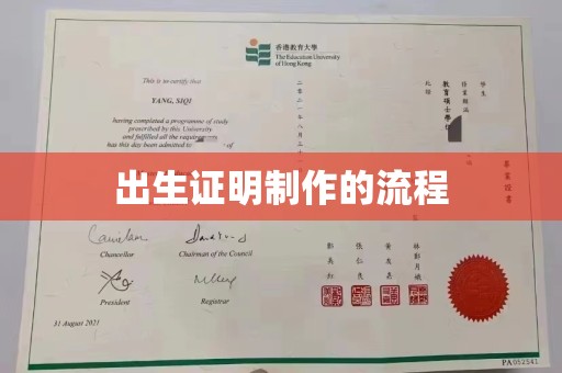 江阳出生证明制作的流程